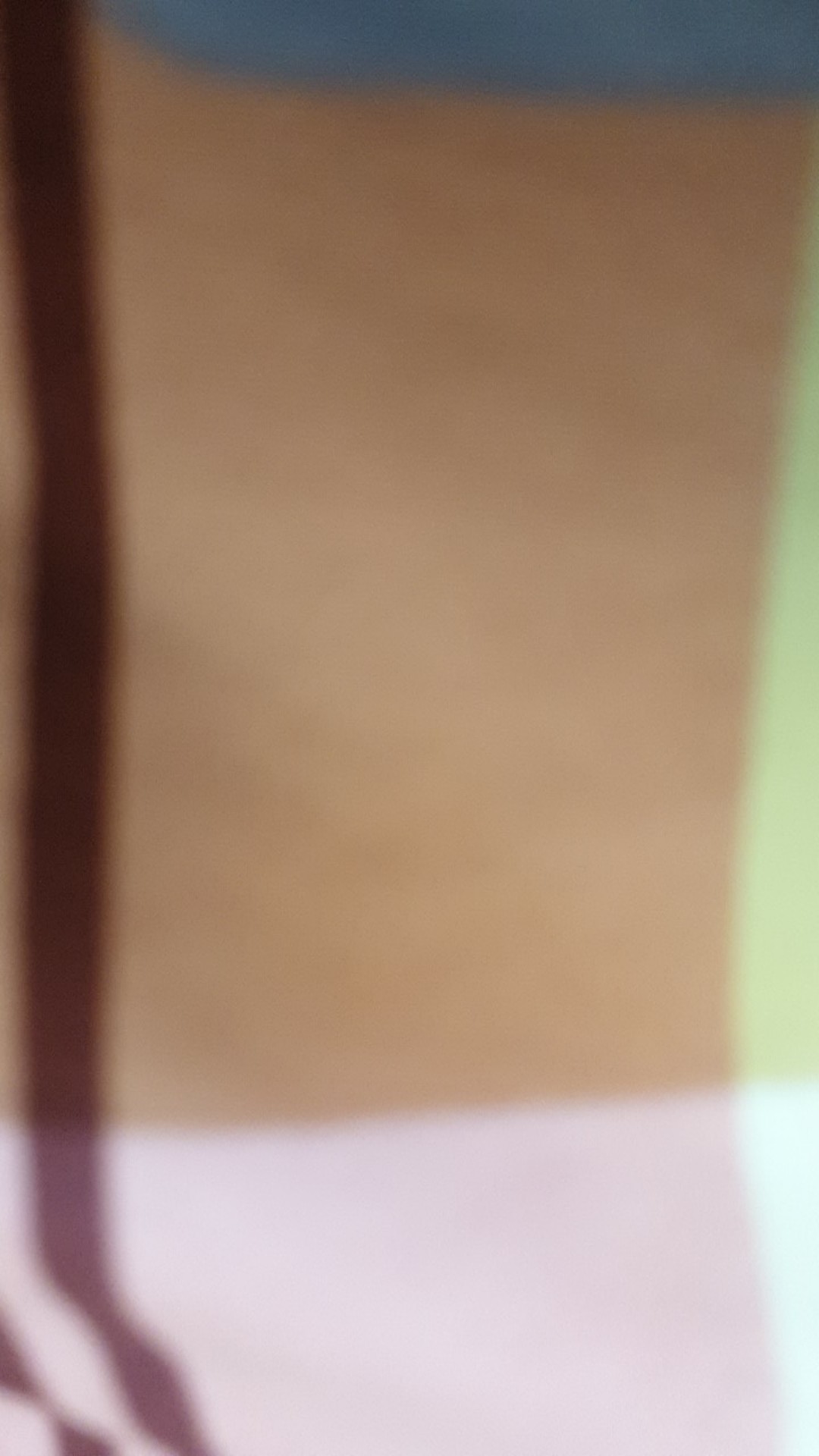 Sikat Baju / Sikat Wc / Sikat Serbaguna