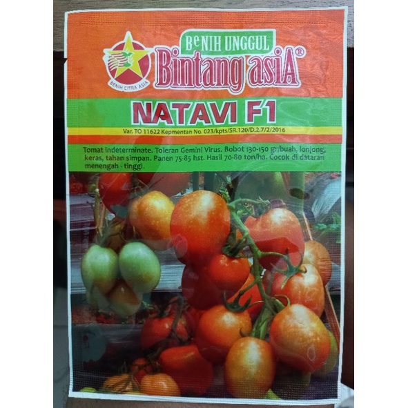 Benih Tomat NATAVI F1 10 Gr Bintang Asia