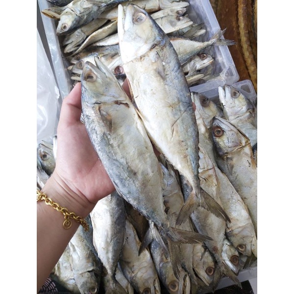 

peda Asin montok bersih 1kg