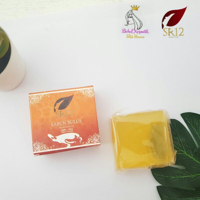 SR12 Sabun Bulus/Sabun Bulus SR12/Sabun Bulus Medan/Sabun Bulus SR12 Medan