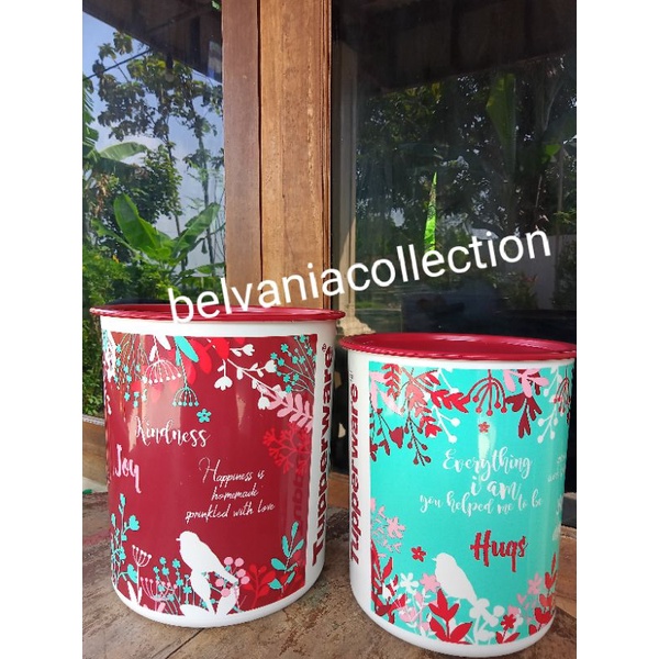 tupperware mother canister (2)