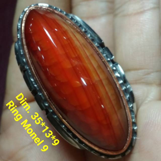 Pandan merah sisik betok