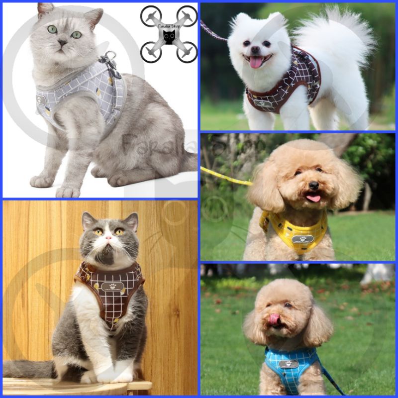 Harness Jaket Kucing Anjing Tali Tuntun Cat Dog  Pastel Glow in the Dark Pastel