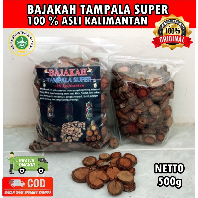 

AKAR BAJAKAH/BAJAKAH TAMPALA SUPER KUALITAS TERBAIK ASLI KALIMANTAN