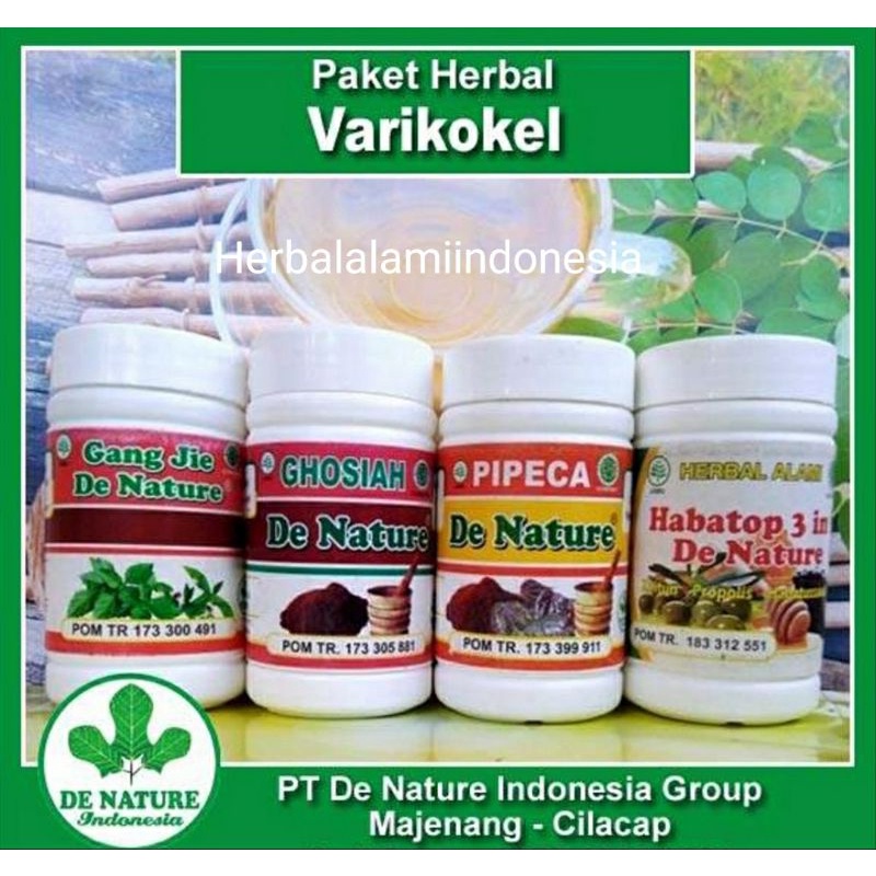 obat varikokel bengkak