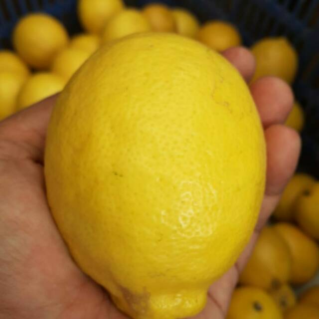 

Lemon california