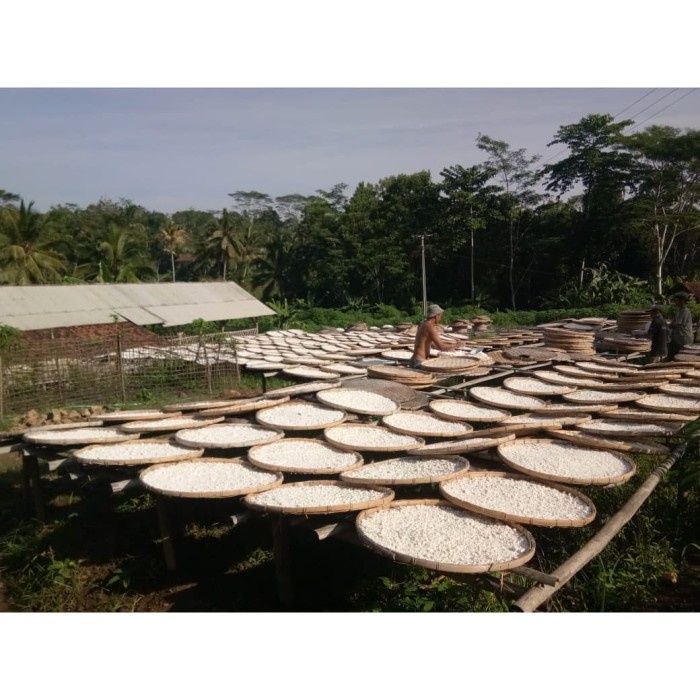

cs777vv Tepung Tapioka Kasar Premium (Tepung Shihlin) Da01D100