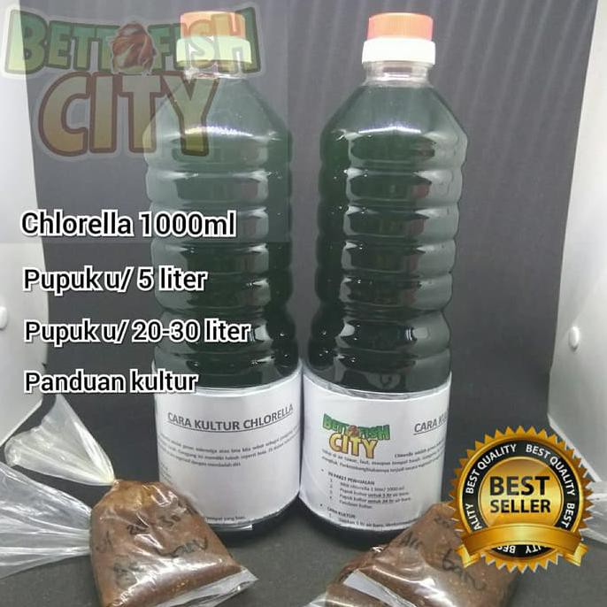 Chlorella Bibit Kultur Pakan Kutu Air