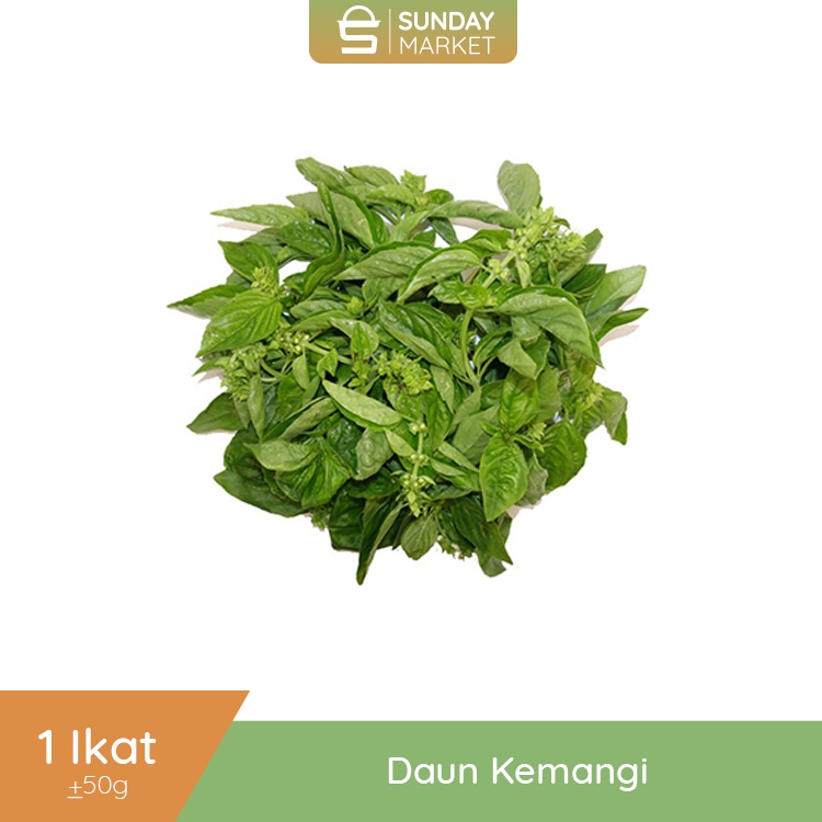 

Daun Kemangi Segar 1 Ikat [± 100gr] | Fresh Setiap Hari