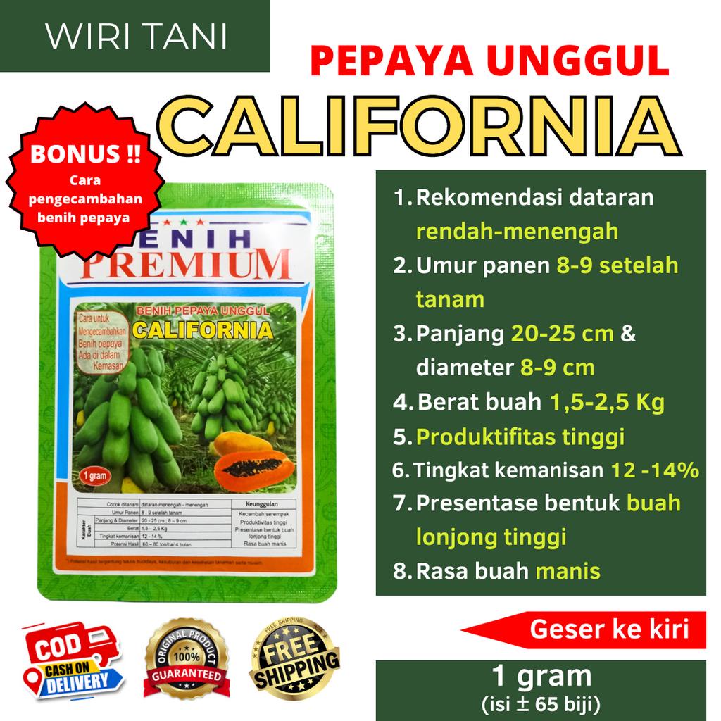 Benih Biji Pepaya California/IPB-9 kemasan 1 Gram | Bibit Kates Kalifornia (isi ± 60 biji ) | Benih 