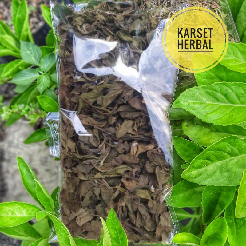 

Daun Beluntas Kering