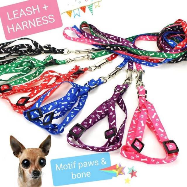 Harness pet anjing kucing kelinci murah leash tali rompi dog cat hewan motif paws tulang