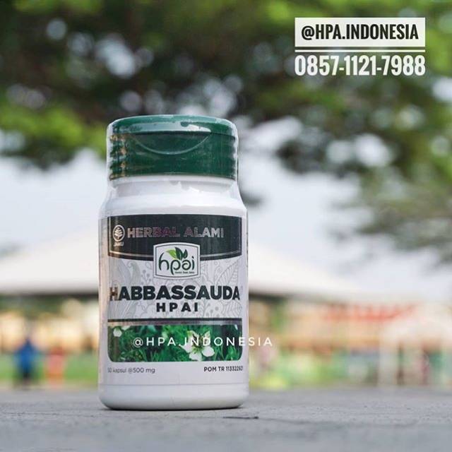 Habbatussauda Hni Hpai Herbal Promil Indonesia