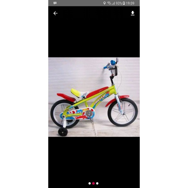 United sepeda anak 16 inch Dolphin