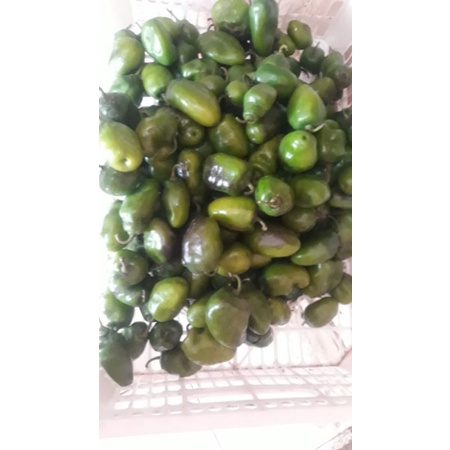 

pindang potong