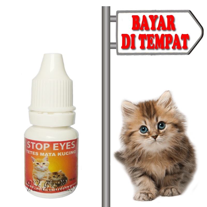 Obat Tetes Mata Kucing Iritasi Merah Pembersih Kotoran Stop Eyes