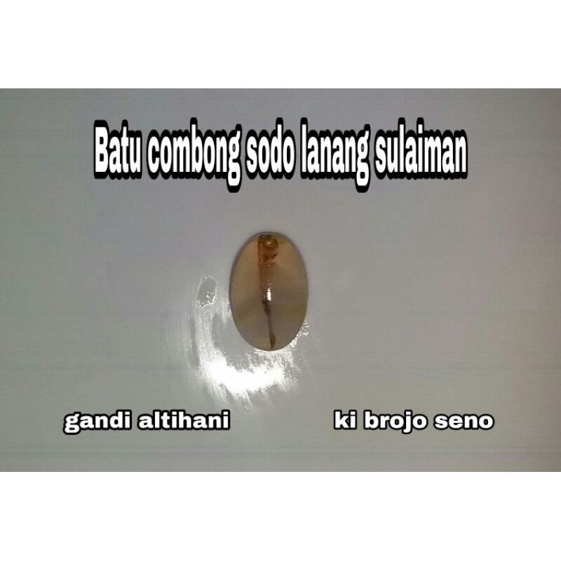 batu combong sodo lanang aktiv kebal kejadugan siap tes