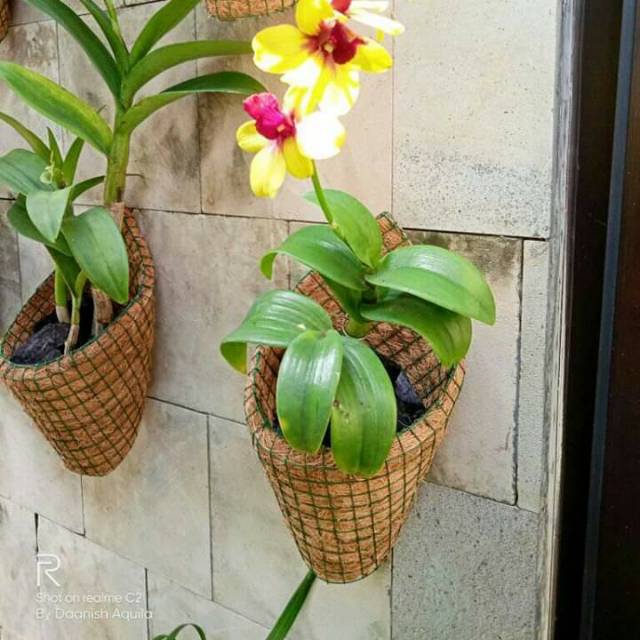 kerajinansabutkelapa