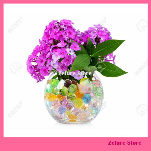 Hidrogel Media Tanam Water Beads Hydrogel Hidrogel Tanam