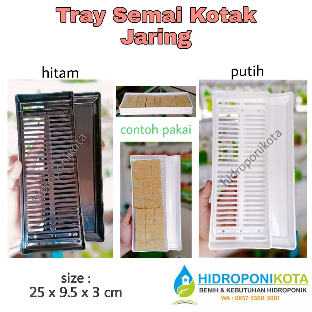 tray semai hidroponik - tray semai microgreen - tray semai kotak