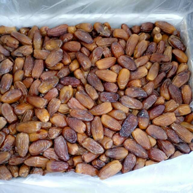 

Kurma Tunisia Dyna
