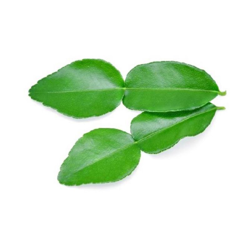 

sayuran daun jeruk segar & fresh / 100gr di warunk juni
