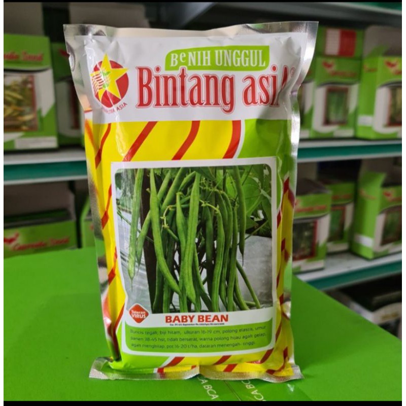 Isi 500gram Benih Buncis Baby Bean Bibit Buncis tegak