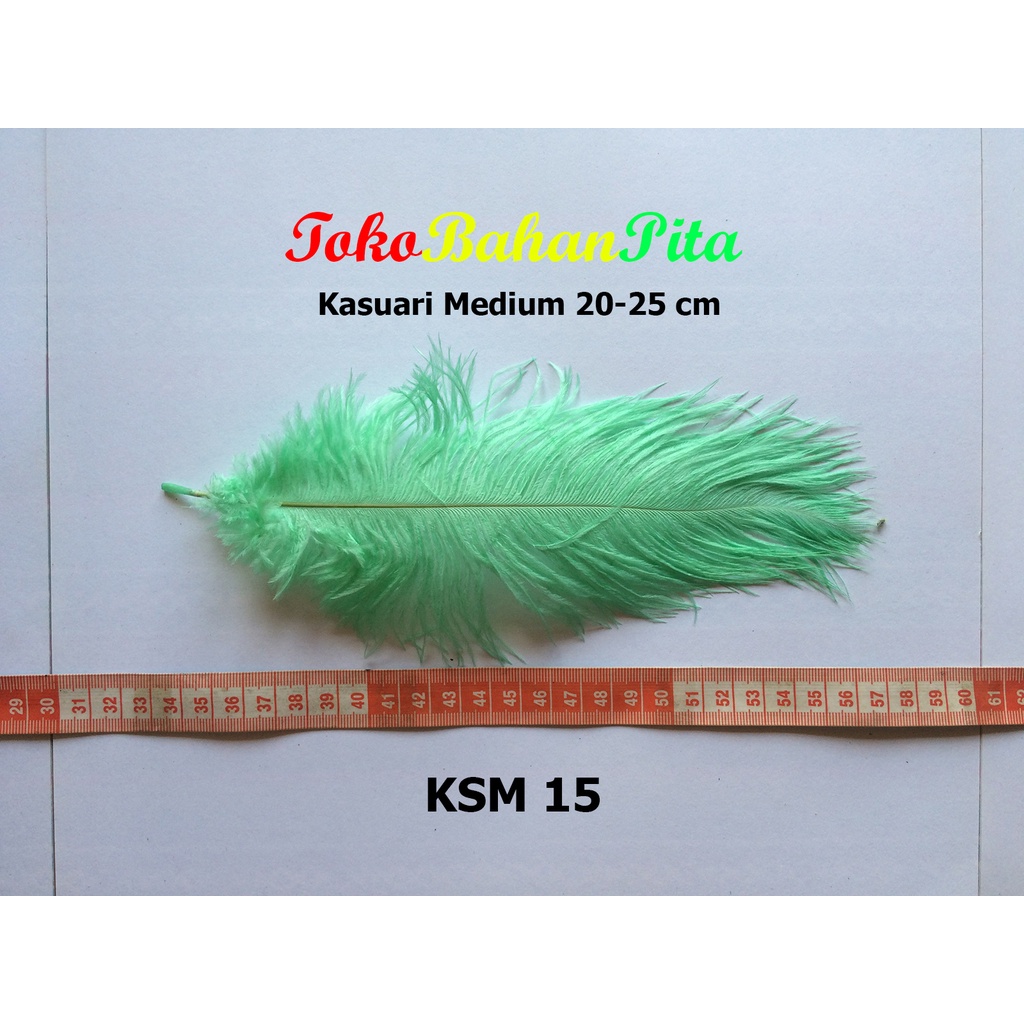 (1 HELAI) BULU DEKORASI 20-25cm KSM 15 | OSTRICH | BULU HIAS | BULU CRAFT | TOKO BAHAN PITA