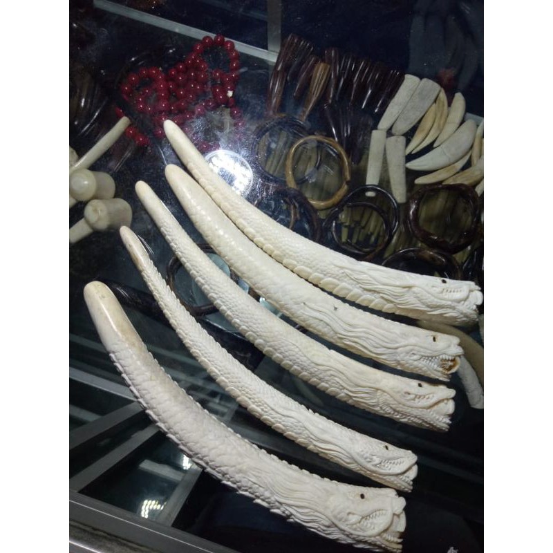 

onceigaduyungukirdetail