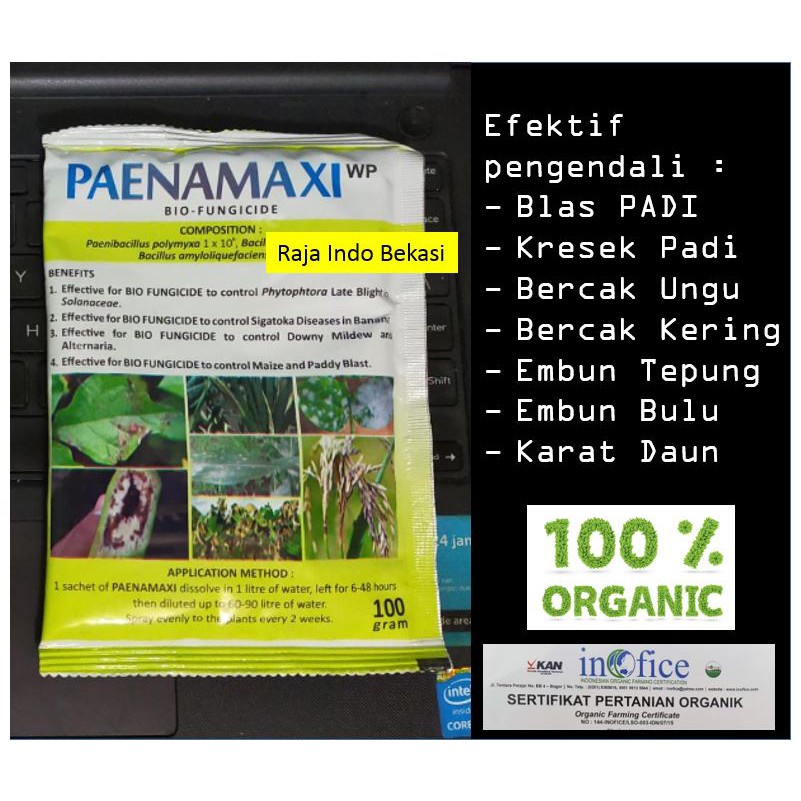 Paenamaxi 100 Gram Kemasan Ori Pabrik Biofungisida Untuk Jamur - Asam-Asam Kresek Padi Karat Daun