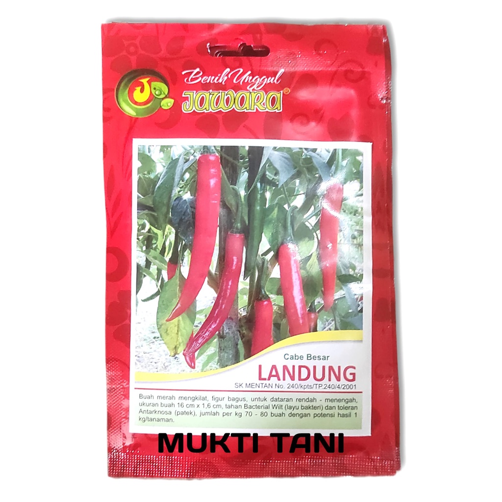 Isi 10 Gram Benih Bibit cabe merah besar Landung || benih jawara