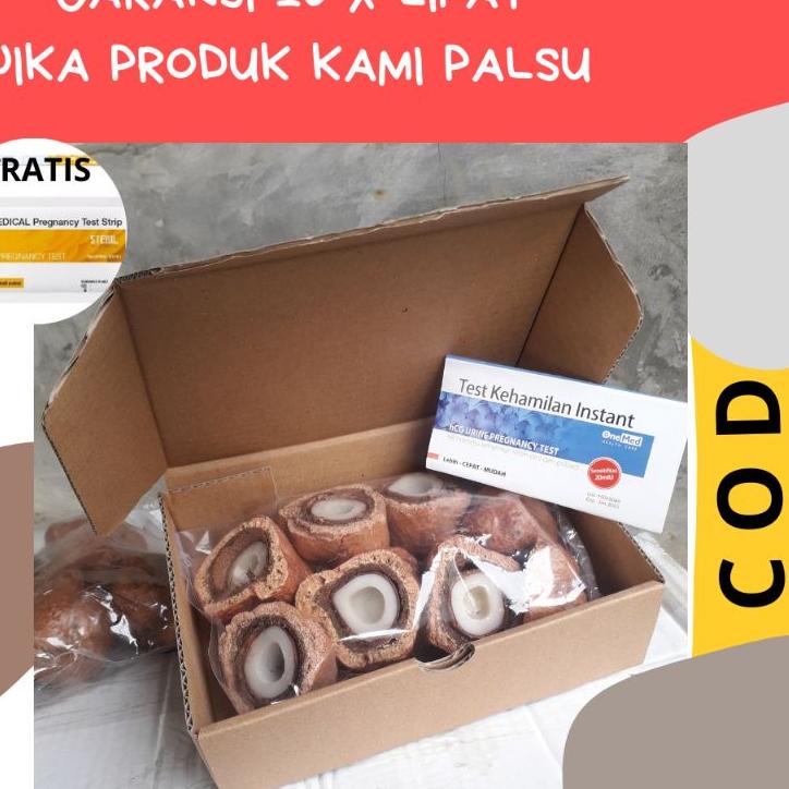 

COD !!! 2.2 BUAH ZURIAT 1 BOX [KODE 920]