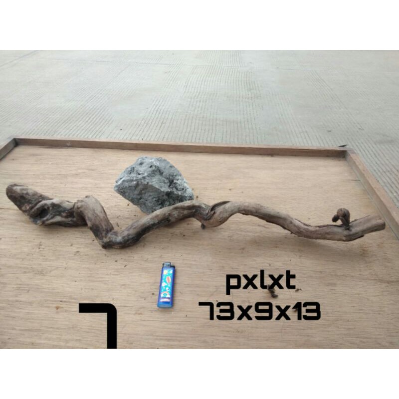 Santigi Karang/Santigi Laut Aquascape 7