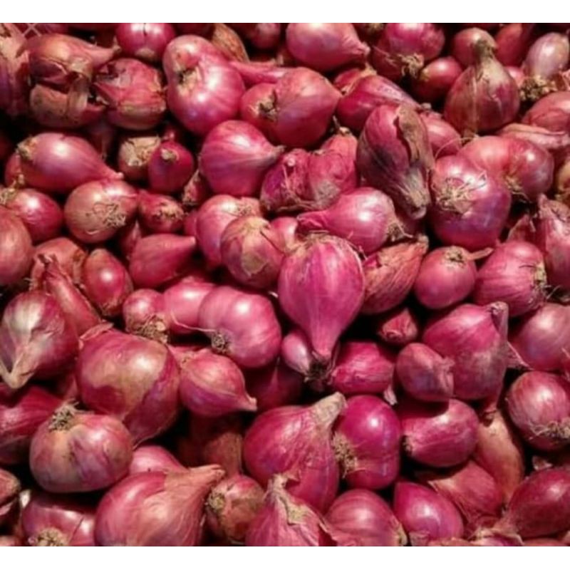 

Bawang Brebes super