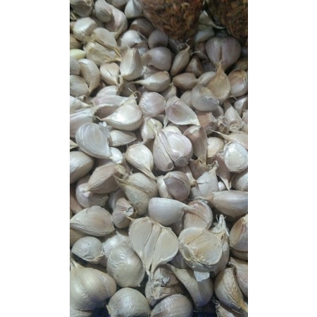 

Bawang putih kating