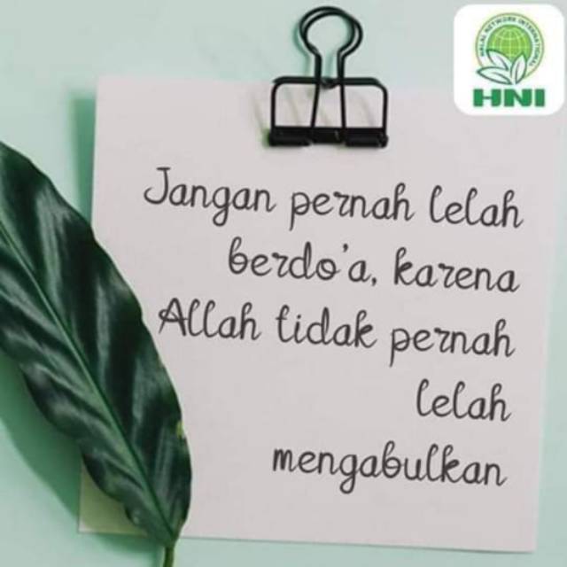 monica_jannah