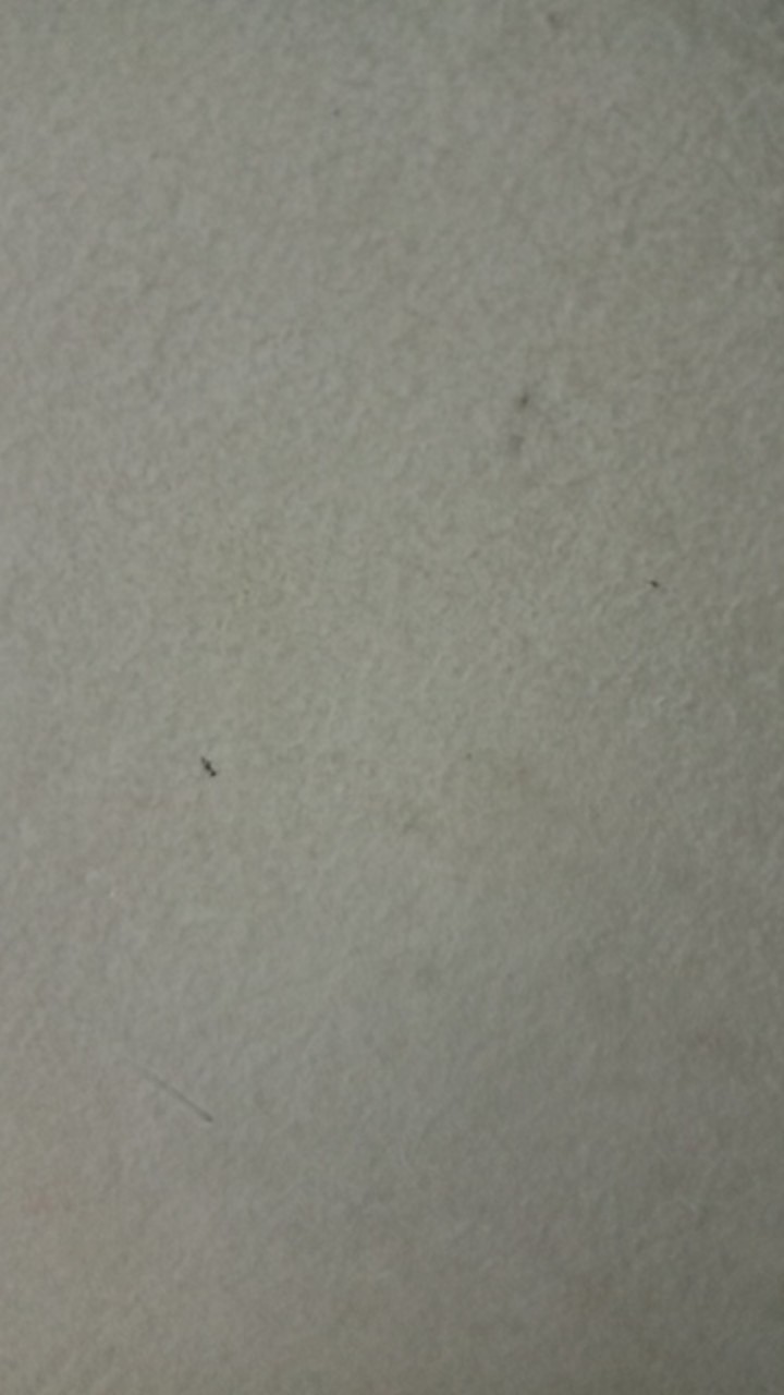 Promo!! Baru Tuppy Toples Set (6) Tropical Fiesta Free Small S(3)