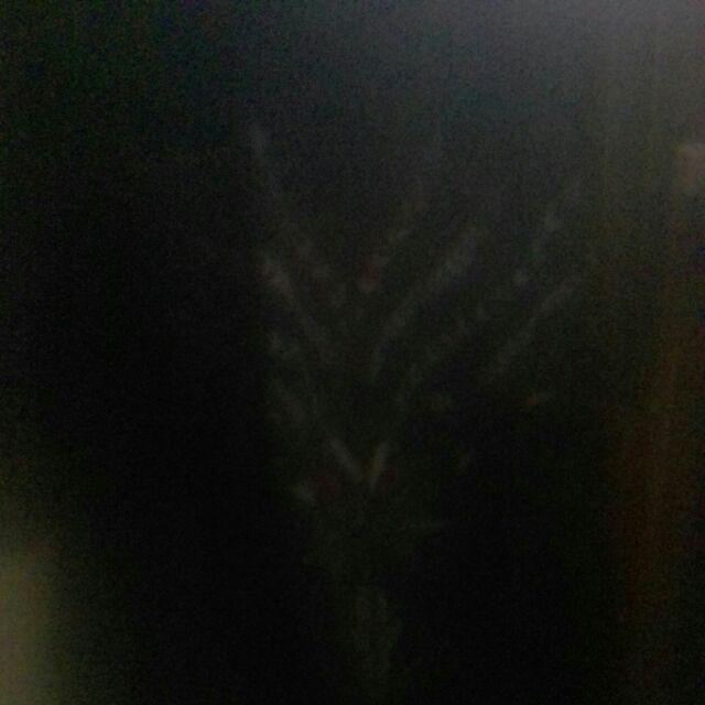 Bestsellercpbatik / Couplekemejabrokat/couplebatik /sepasang Baju Muslim Kemeja Cowok/set Kebaya