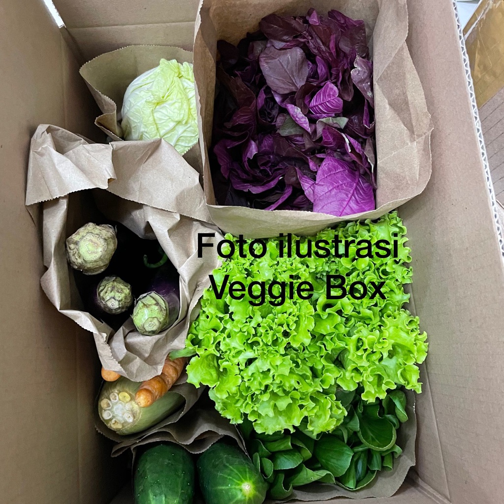 

Veggie Box - Paket Aneka Sayuran Organik