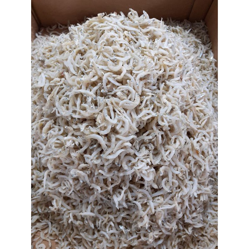 

IKAN TERI NASI MEDAN