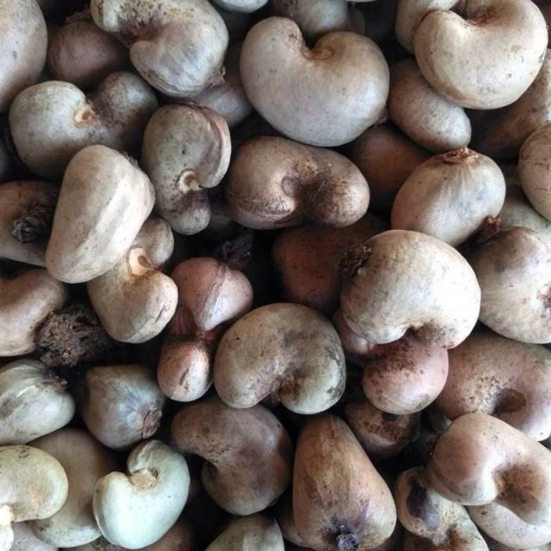 

biji Mente super.35 000. per kilo