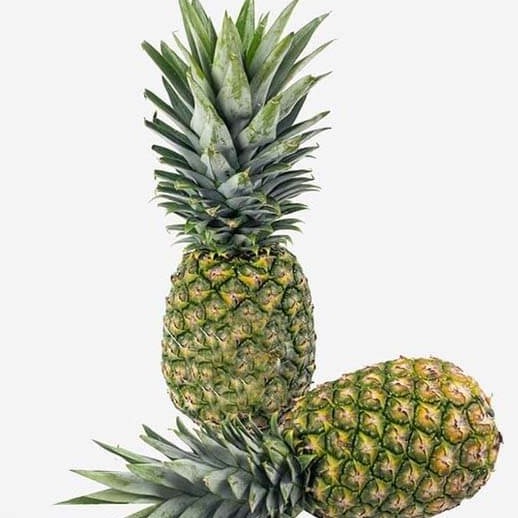 

nanas biji pasar online makassar
