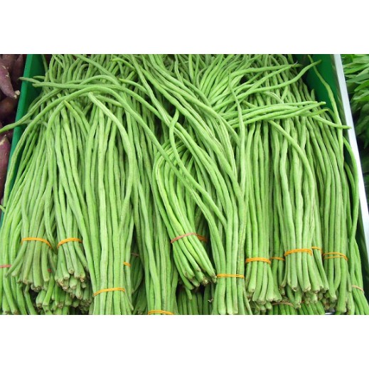 

KACANG PANJANG ORGANIK 200GR