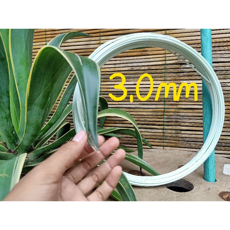 Ruji fiber 3mm putih roll untuk dongdang/layangan naga dll