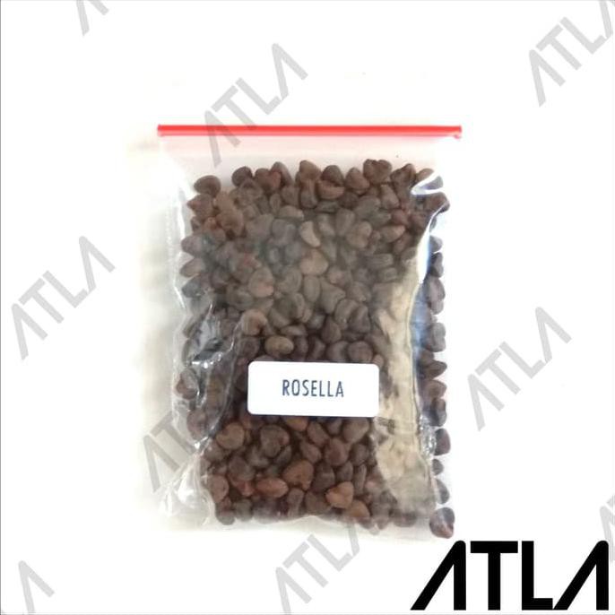 Benih Bunga Rosella Ungu 10 Gram Bibit Tanaman Biji Teh Herbal Rosela kw asli
