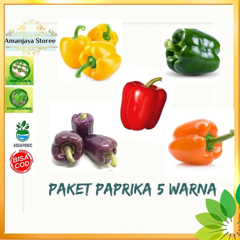 Benih PAKET PAPRIKA 5 WARNA + BONUS polibag semai, pupuk npk serta benih lainnya / Paprika termurah/ Benih paprika