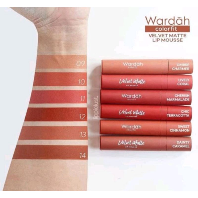 WARDAH COLORFIT VELVET MATTE LIP MOUSSE | WARDAH VELVET | WARDAH LIPCREAM