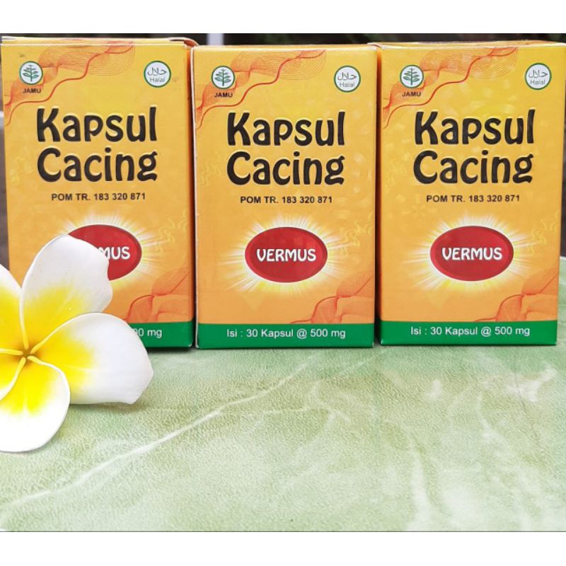 VERMUS Kapsul Cacing 30 Kapsul 500mg - Obat Typus Demam Pegal Pegal - Vermint