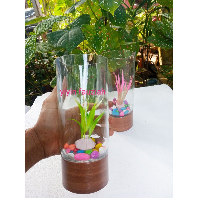 soliter tabung tempat pelihara ikan cupang aquarium mini botol kaca satu paket akuarium dan hiasan