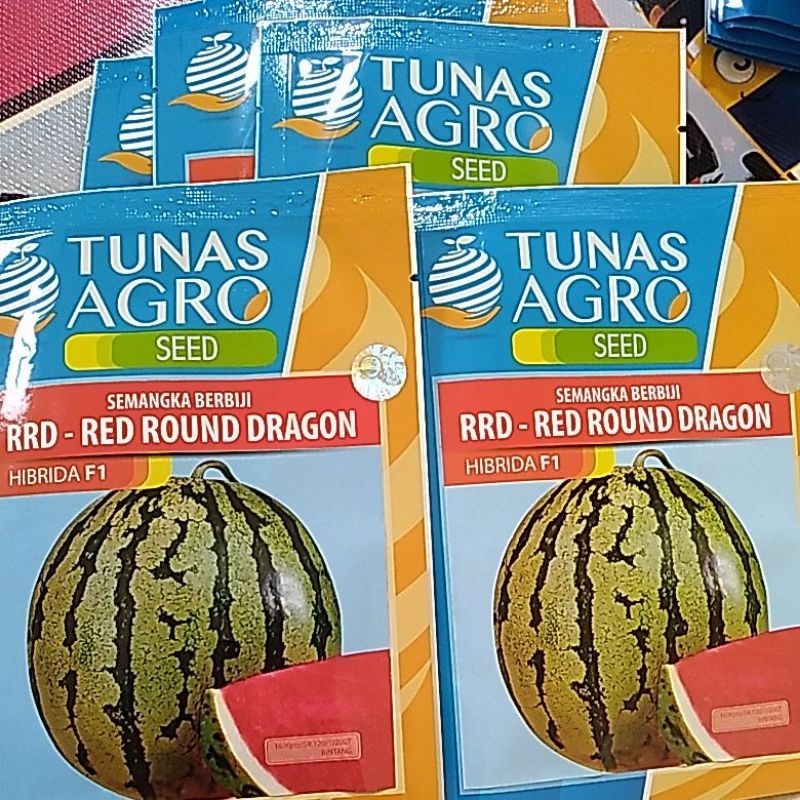 BENIH SEMANGKA BERBIJI RRD RED ROUND DRAGON